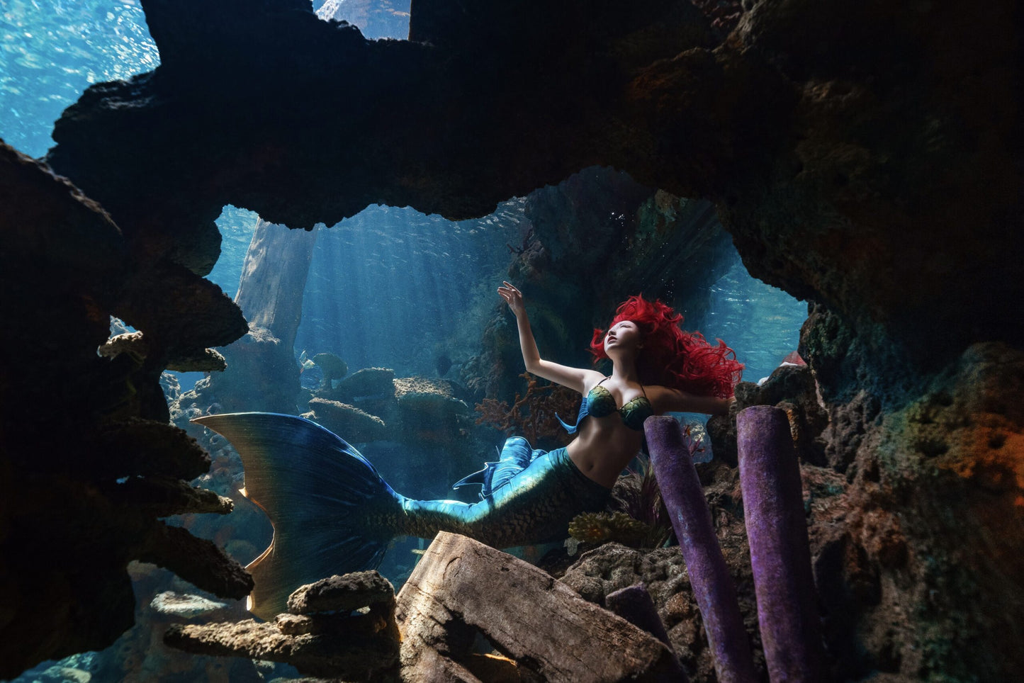 PADI Advanced Mermaid Course in Toronto