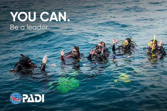 PADI DIVE MASTER |PADI 潜水长课程