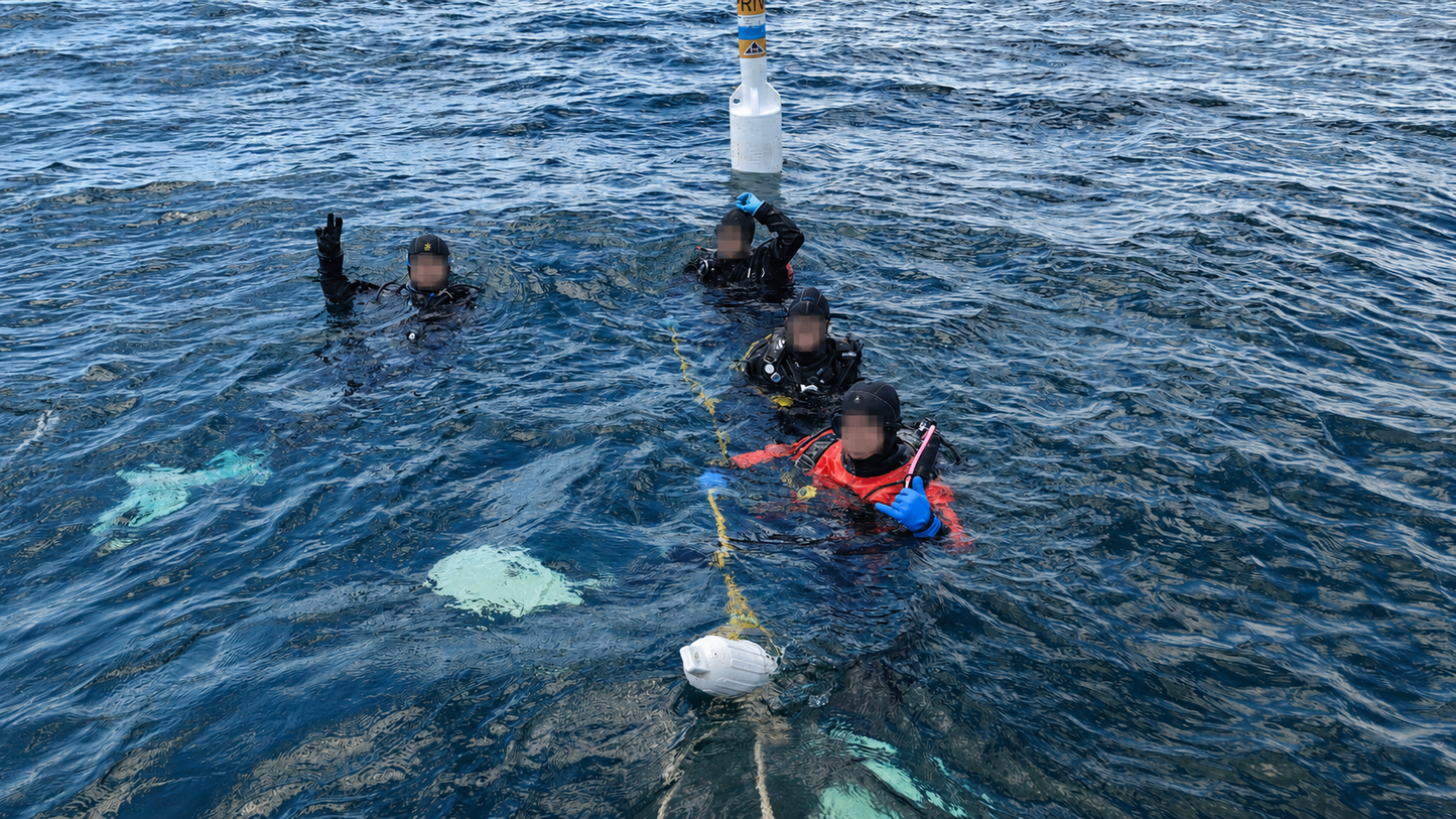 Humber Bay Boat Dive One Guided Dive