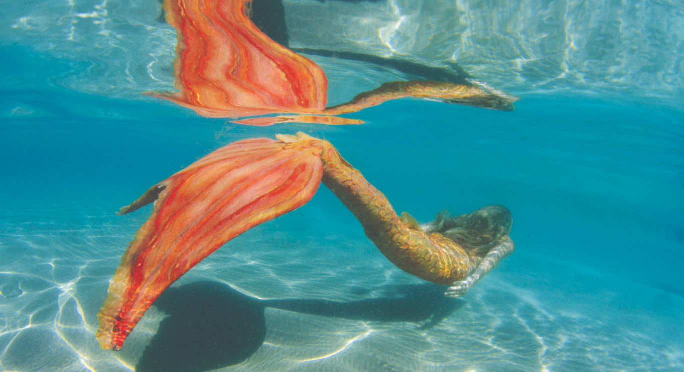 PADI 美人鱼课程线上教材|PADI MERMAID COURSE ONLINE ELEARNING