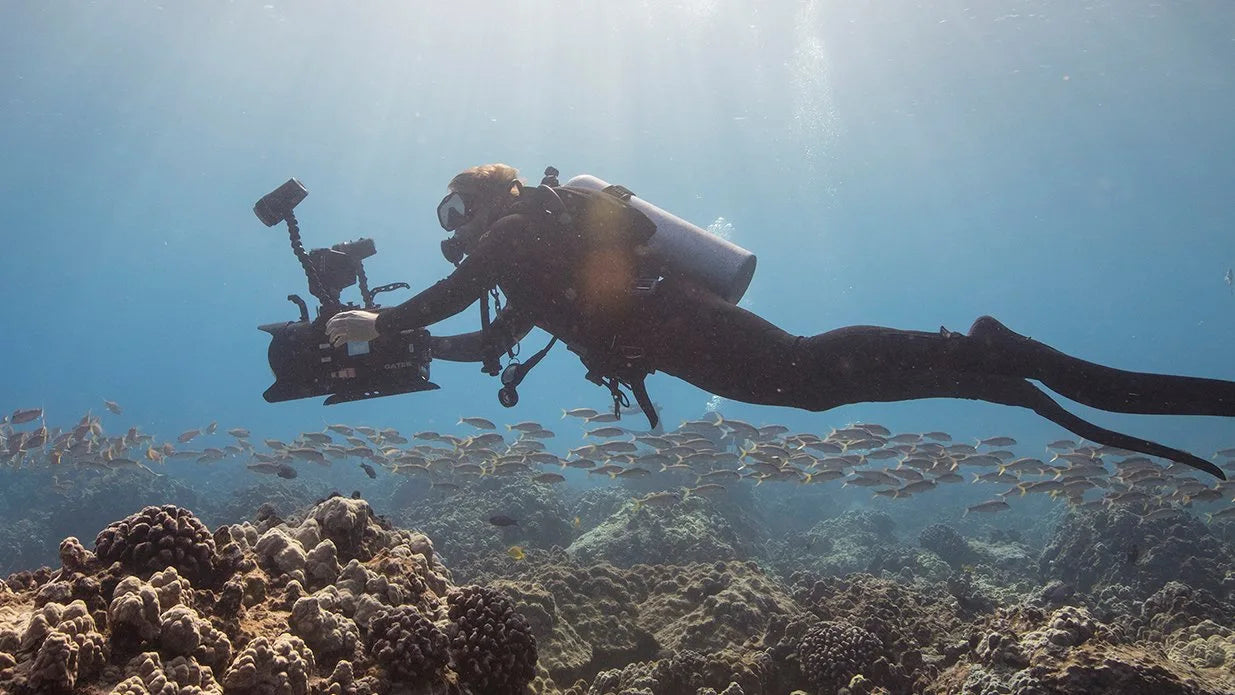PADI Elearning - Digital Underwater Photographer