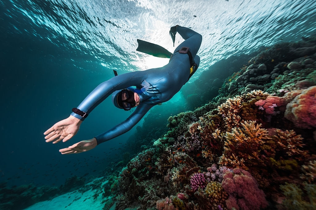 PADI FREEDIVER | PADI 自由潜水员课程
