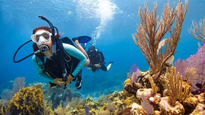 PADI Elearning - Open Water