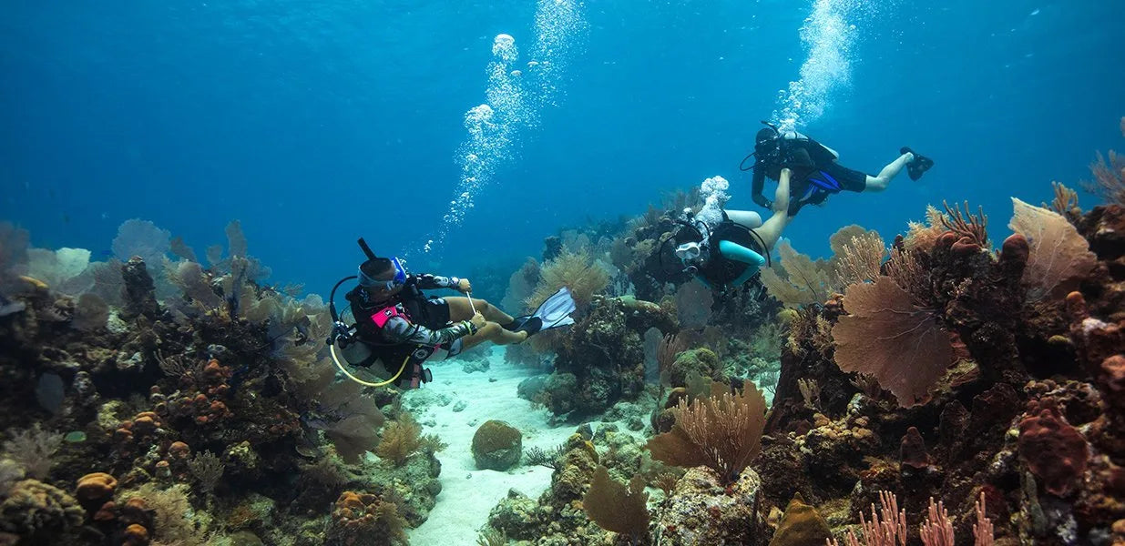 PADI Elearning - Divemaster