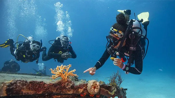 PADI Elearning - Divemaster