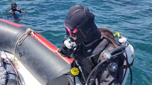 Humber Bay Boat Dive One Guided Dive