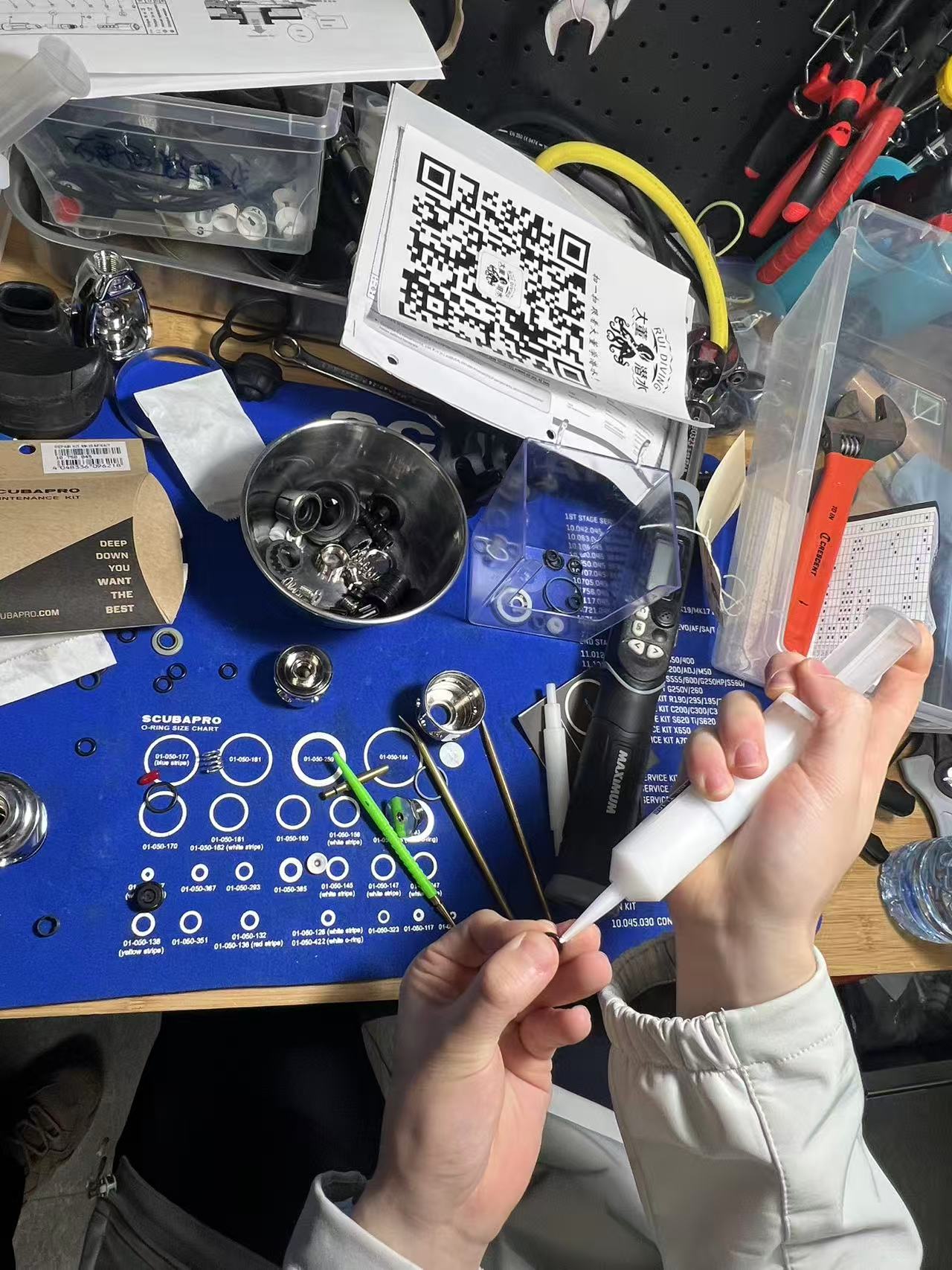 Regulator Services - Octo