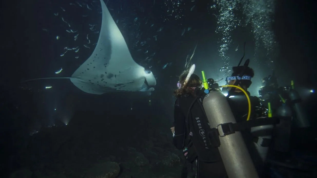 PADI Night Diver Course in Toronto