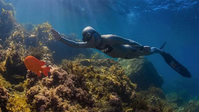PADI Elearning - Basic Freediver