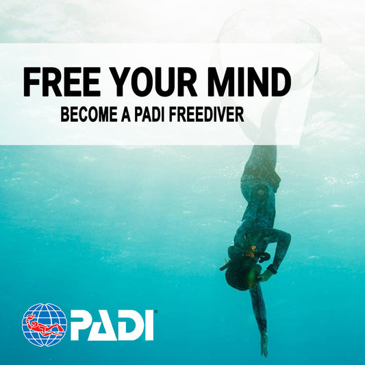 PADI 自由潜水员线上教材 | PADI FREEDIVER COURSE ELEARNING
