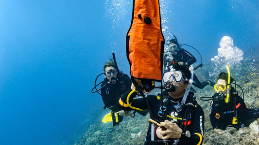 PADI Delayed Surface Marker Buoy (DSMB) Diver Course in Toronto