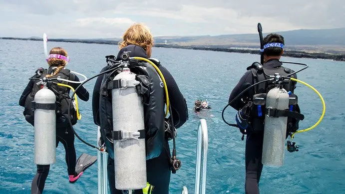PADI Elearning - Instructor Development Course